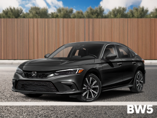 Elegant pre-designed residential fence with landscaping background, blending green foliage and a wooden fence to create a welcoming atmosphere for car listings.